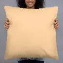 all-over-print-basic-pillow-22x22-back-683372854c71a.webp