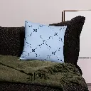 all-over-print-basic-pillow-18x18-front-68337416c6b3c.webp